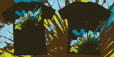 Formations image