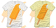Dreamsicle image