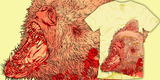 Gnarly Bear Gnarly Bear image