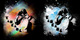 Borealis image