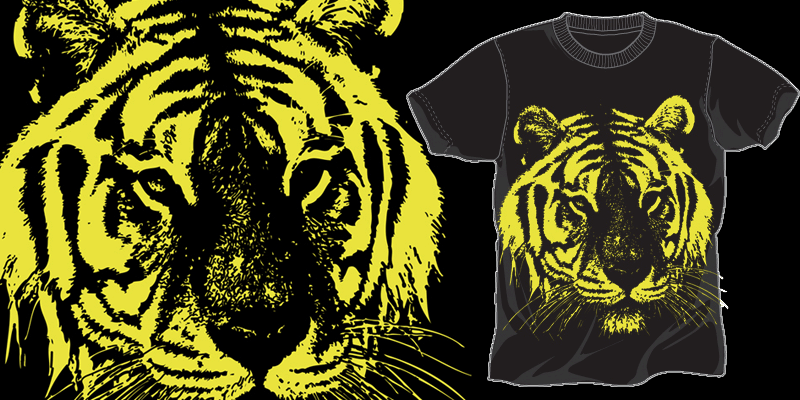 A tiger image