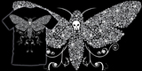 acherontia lachesis image