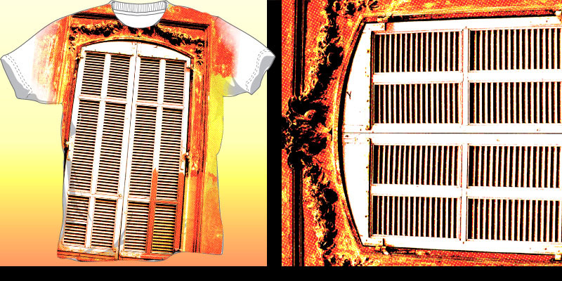 The Window image