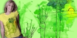 Frond image