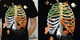 The Seasons of My Life image