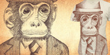 Monkey Business image