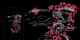 Water Dragon in Blossoms image
