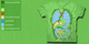 Kidney Greens image