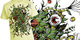 Monster Harvest image