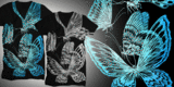 Butterflies image