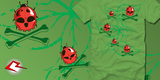 Lady Killer Bugs image