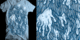 Hairy image