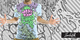 ZK- GUTS image
