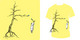 treeboy image