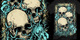 Dekay also image