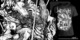 The Banner: Goat VS Wolf image