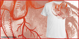 TEE BATTLE - Anatomy image