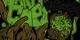 Back to the roots image
