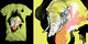 Proboscidea image