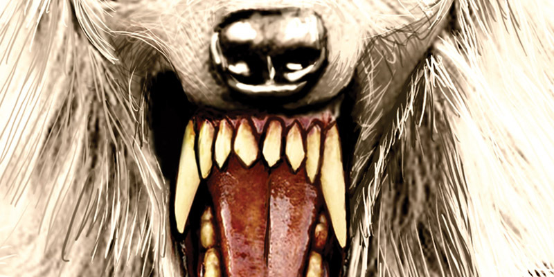 Hair Metal Werewolf - Deleted Image Hair Metal Werewolf - Deleted Image image