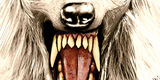 Hair Metal Werewolf - Deleted Image image