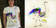 Death and Colors image