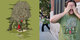 Hide and Seek image