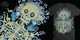 A Life of Misery image