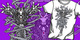 anubis image