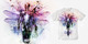 METAMORPHOSE image