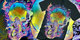 Atlas image