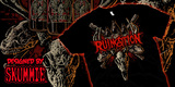 Ruination image