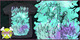 GraveMaker-Grim Rider image