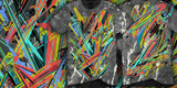 The V.Z. image