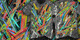 The V.Z. image