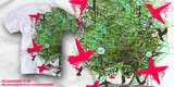 VEE MAGNETIZED TO ZEE image