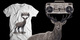 Say Anything image