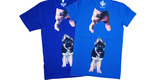Dog Select image