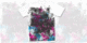 BROKENCYDE PWNZZ image