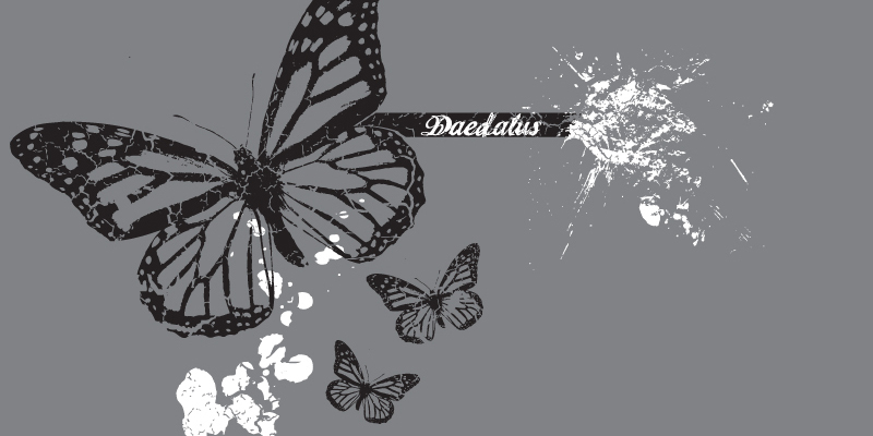 Butterfly image