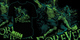 FIT-  Zues update design image