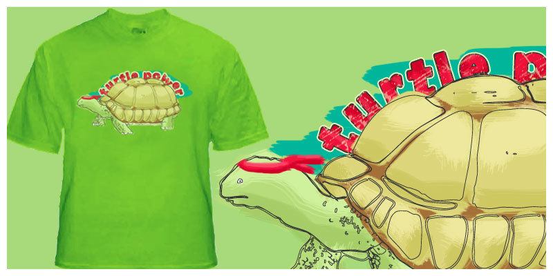 Turtle Power image