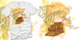 Tee-Off Round 2: Type-Driven image