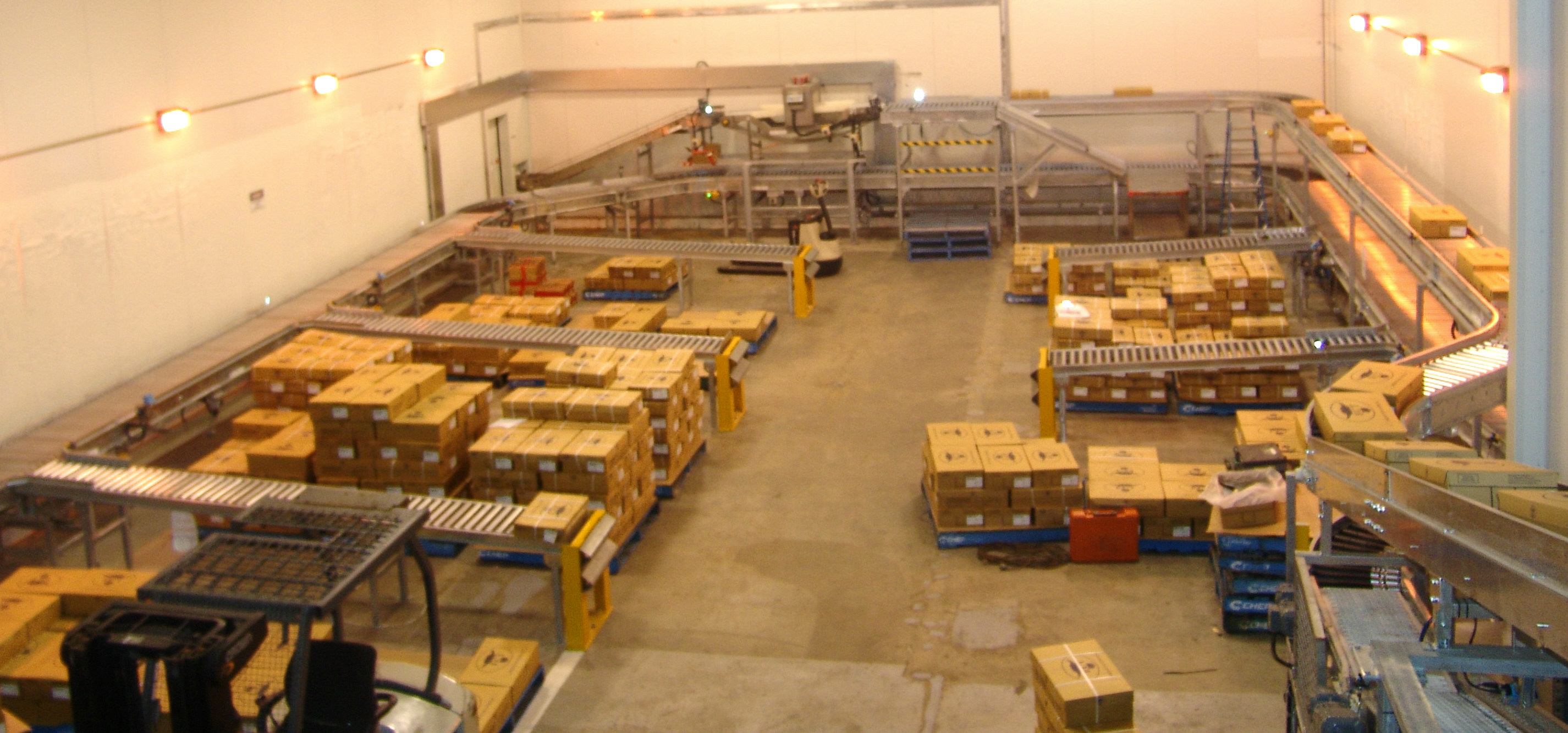 The Australian Beef Processing Plant with an Adept Conveyor Technologies system