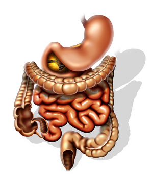 Istock_000002366277small