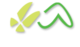 Mahaswami Software Logo
