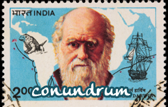 English Lesson - Darwin's Theory Of Evolution