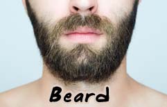 English Lesson - Facial Hair