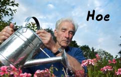 English Lesson - Gardening
