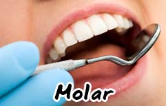English Lesson - Toothache